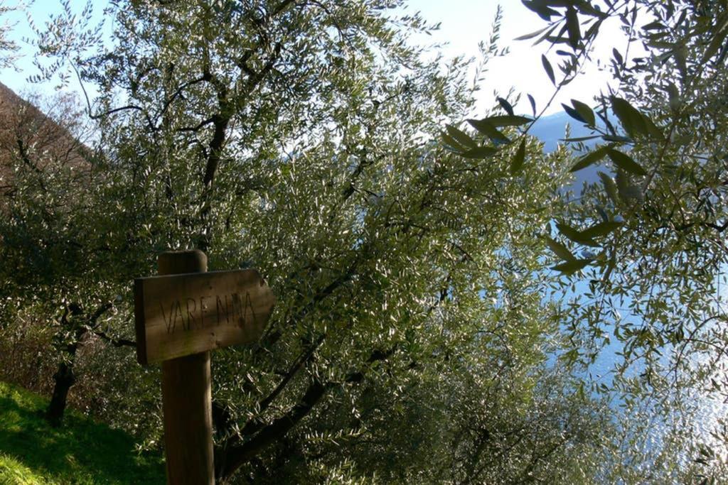 Luci Sul Lago - A Real Paradise Perledo Dış mekan fotoğraf