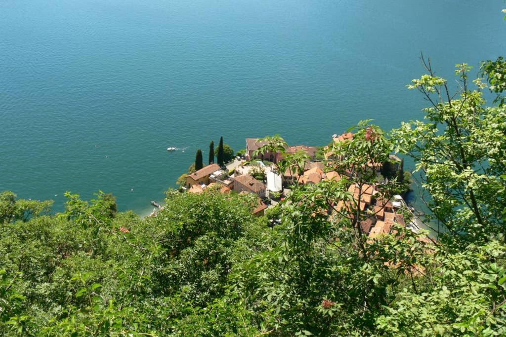 Luci Sul Lago - A Real Paradise Perledo Dış mekan fotoğraf