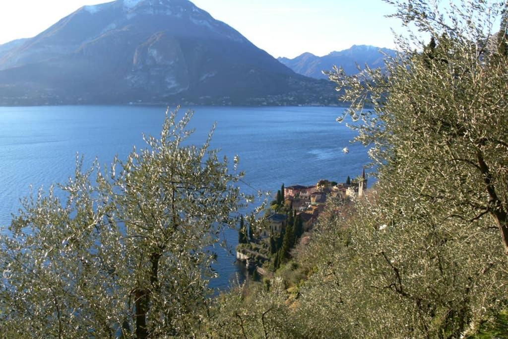 Luci Sul Lago - A Real Paradise Perledo Dış mekan fotoğraf