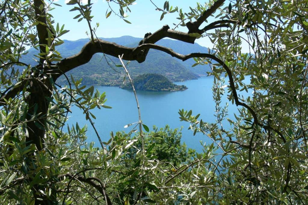 Luci Sul Lago - A Real Paradise Perledo Dış mekan fotoğraf