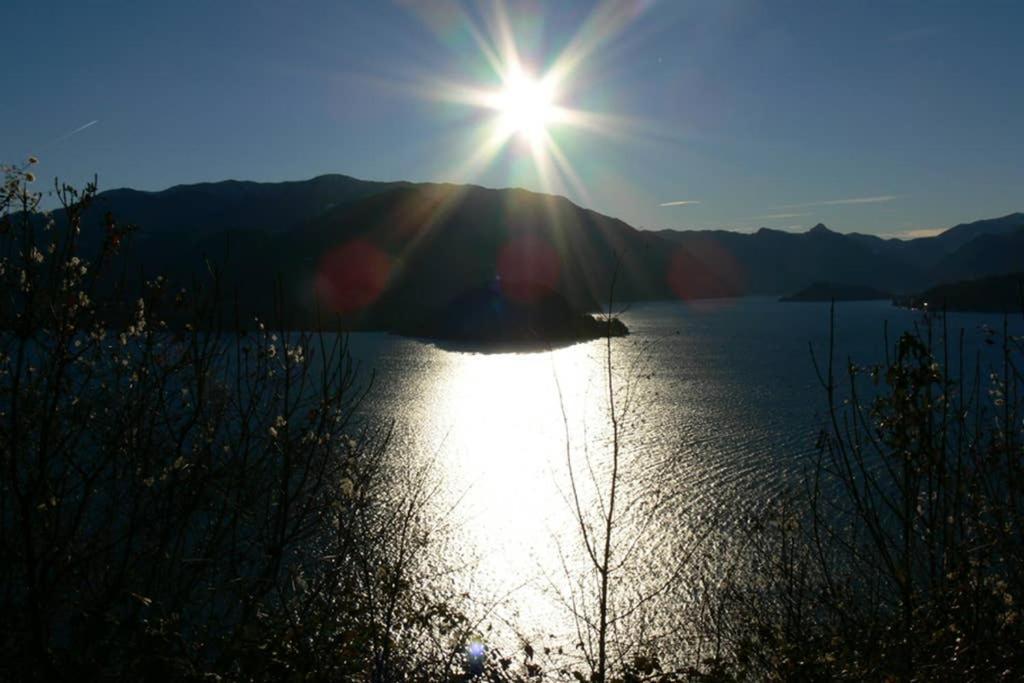 Luci Sul Lago - A Real Paradise Perledo Dış mekan fotoğraf